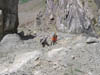 Ampliar imagen