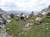 Ampliar imagen